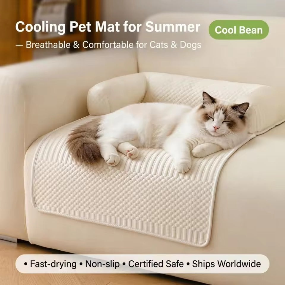PawChill™ — Where Your Pet Loves to Land