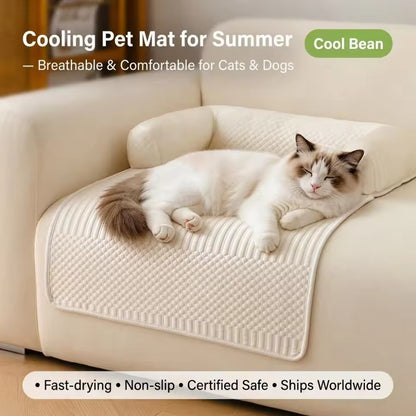 PawChill™ — Where Your Pet Loves to Land