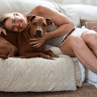 Self-Cooling Dog Bed for Sofa Protection
