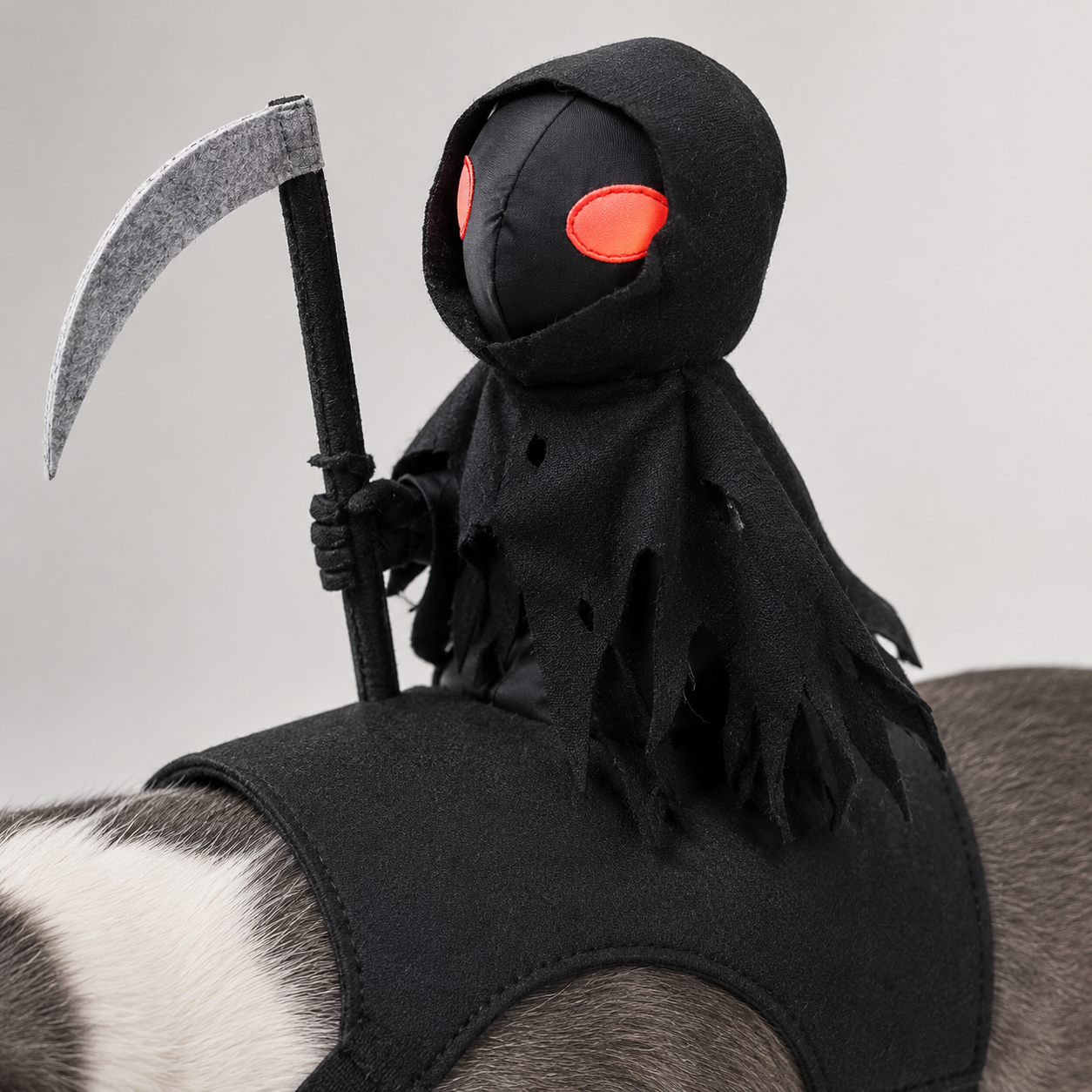 SpectraPaw™ — One Tiny Rider. A Whole Lot of Howls.