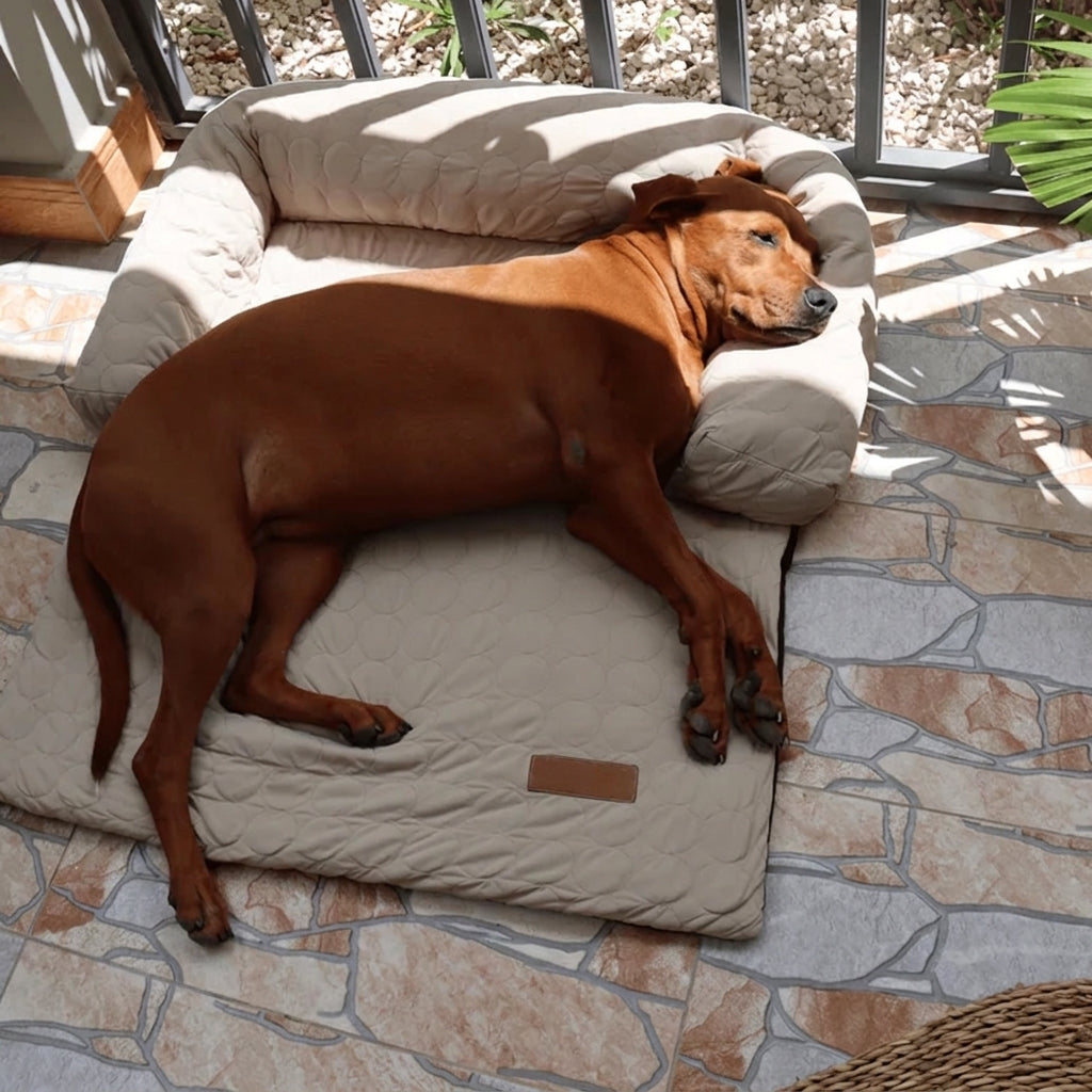 Self-Cooling Dog Bed for Sofa Protection
