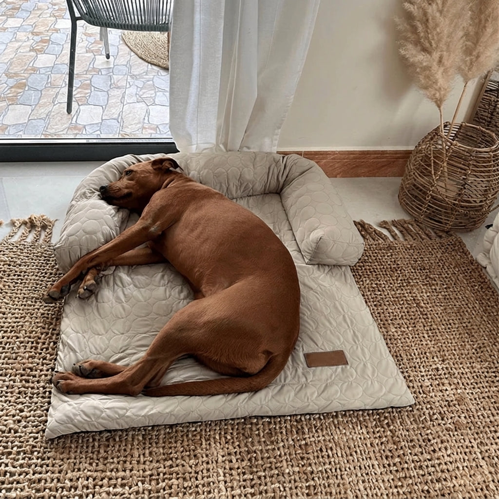 Self-Cooling Dog Bed for Sofa Protection