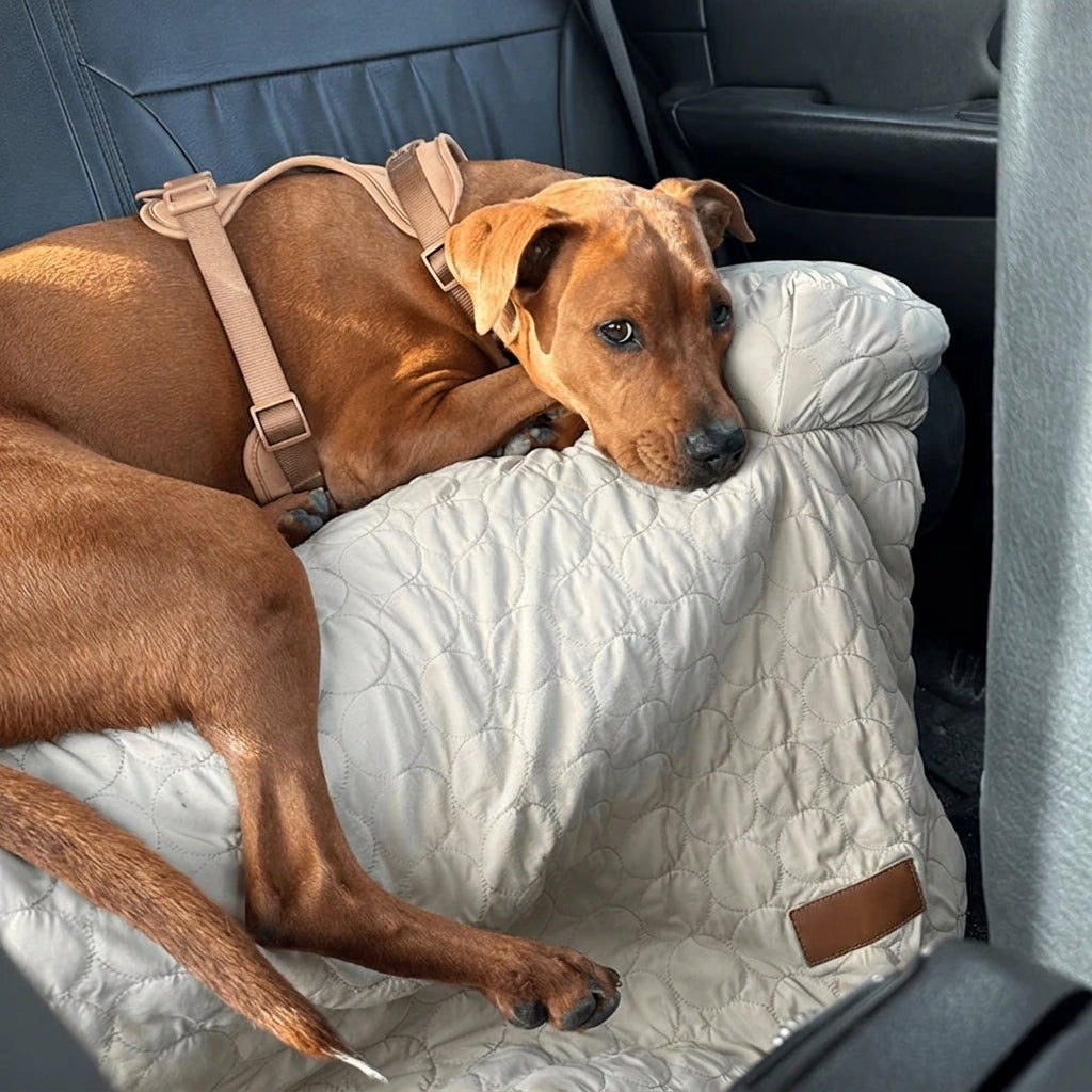 Self-Cooling Dog Bed for Sofa Protection