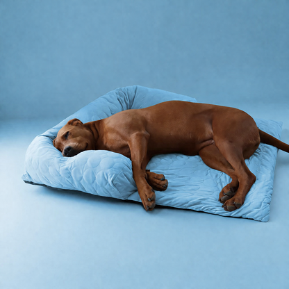 Self-Cooling Dog Bed for Sofa Protection