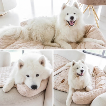 Self-Cooling Dog Bed for Sofa Protection