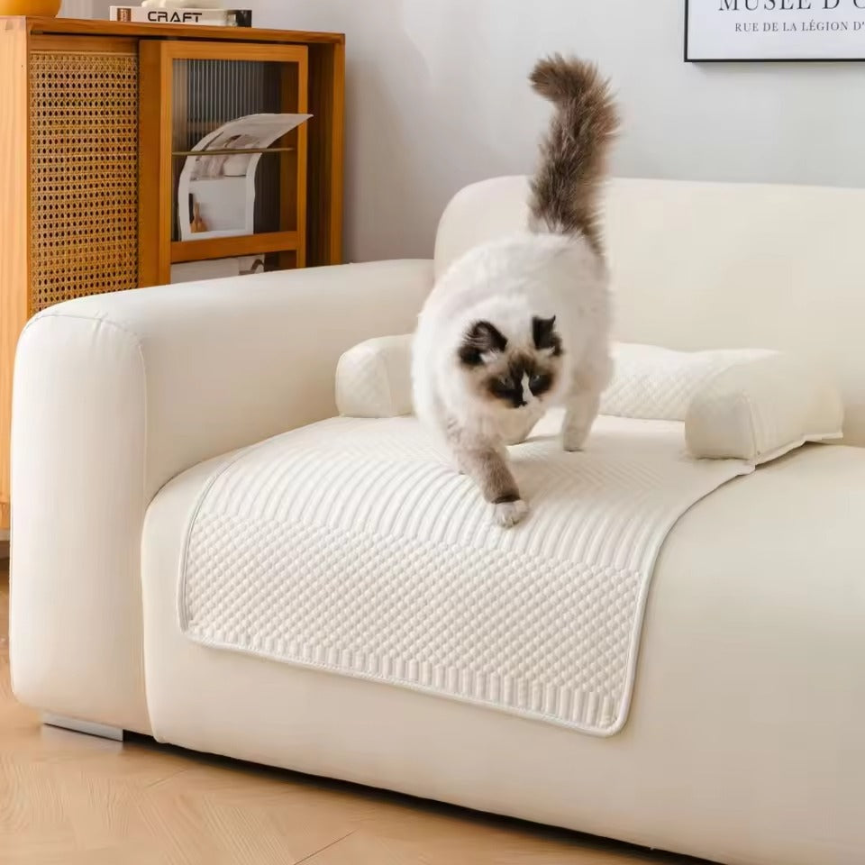 PawChill™ — Where Your Pet Loves to Land