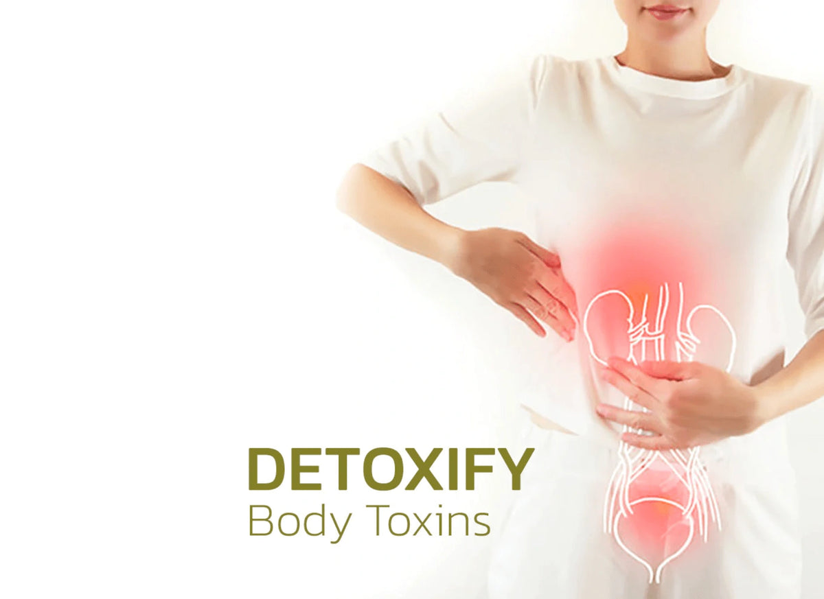 DrVerd™ Detoxing Bundle Package