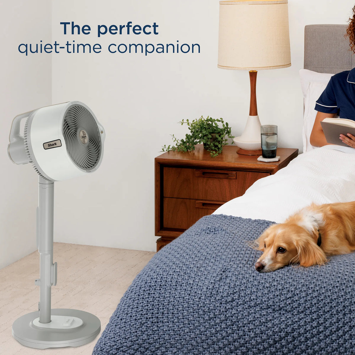 Shark FlexBreeze Pro Mist — Beat the Heat, Indoors or Out