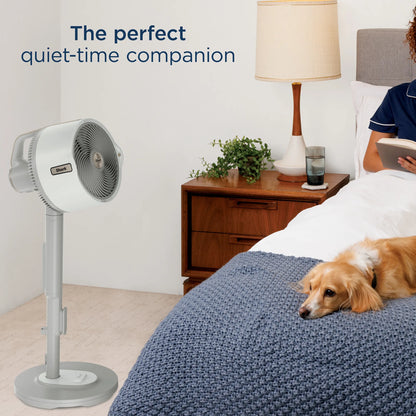 Shark FlexBreeze Pro Mist — Beat the Heat, Indoors or Out