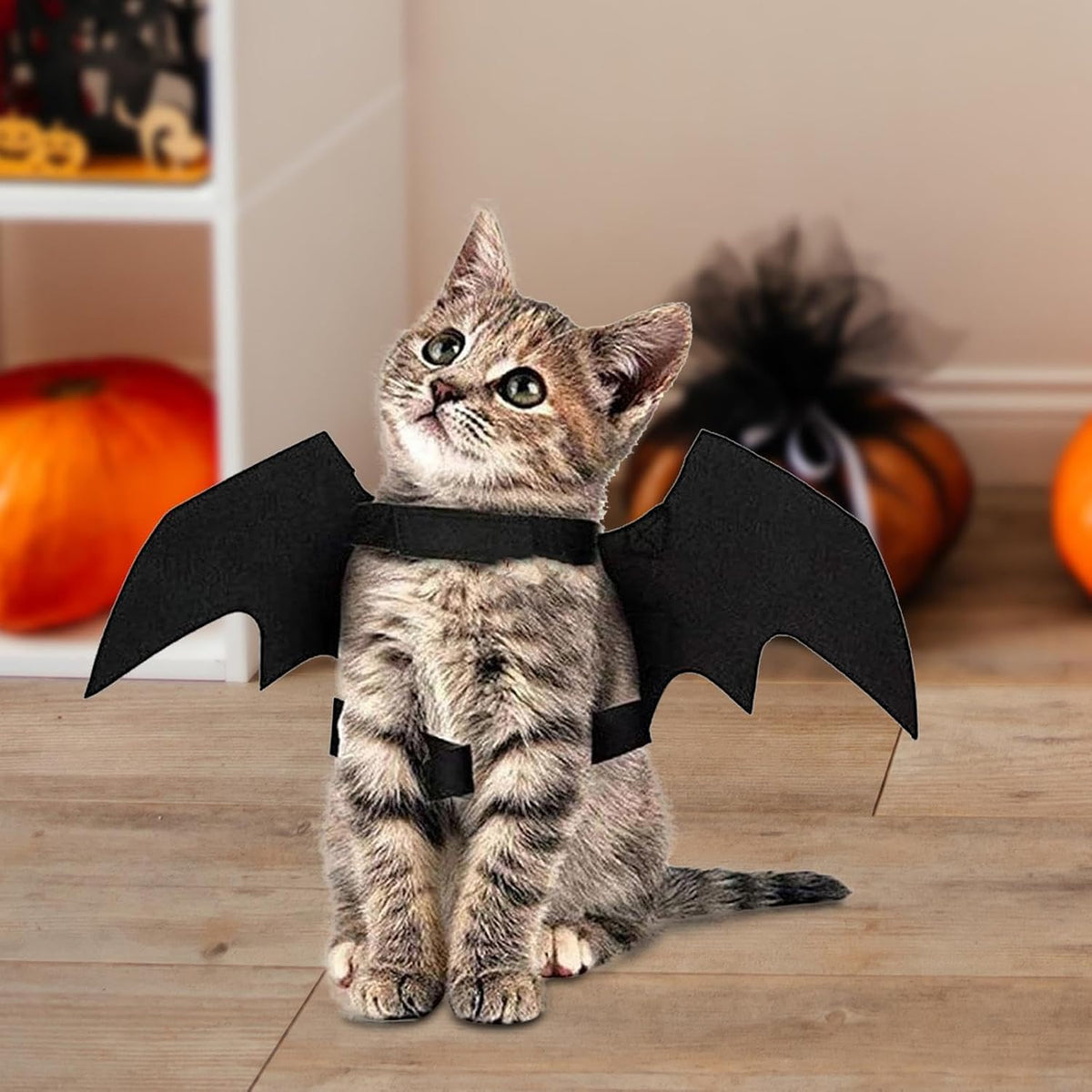 BooWings™ – Bat Costume for Pets