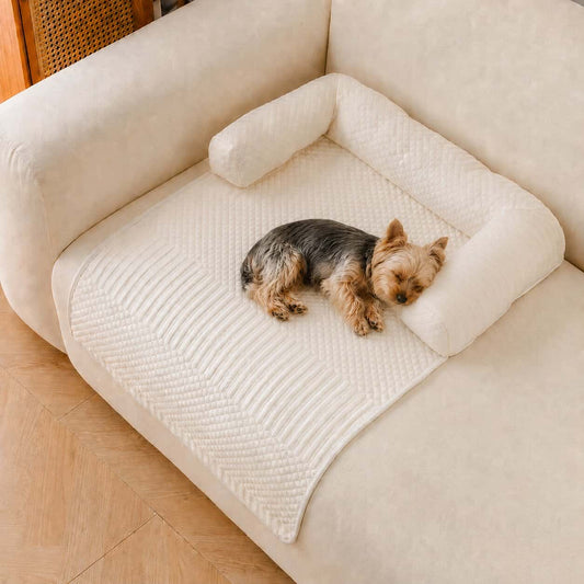 PawChill™ — Where Your Pet Loves to Land